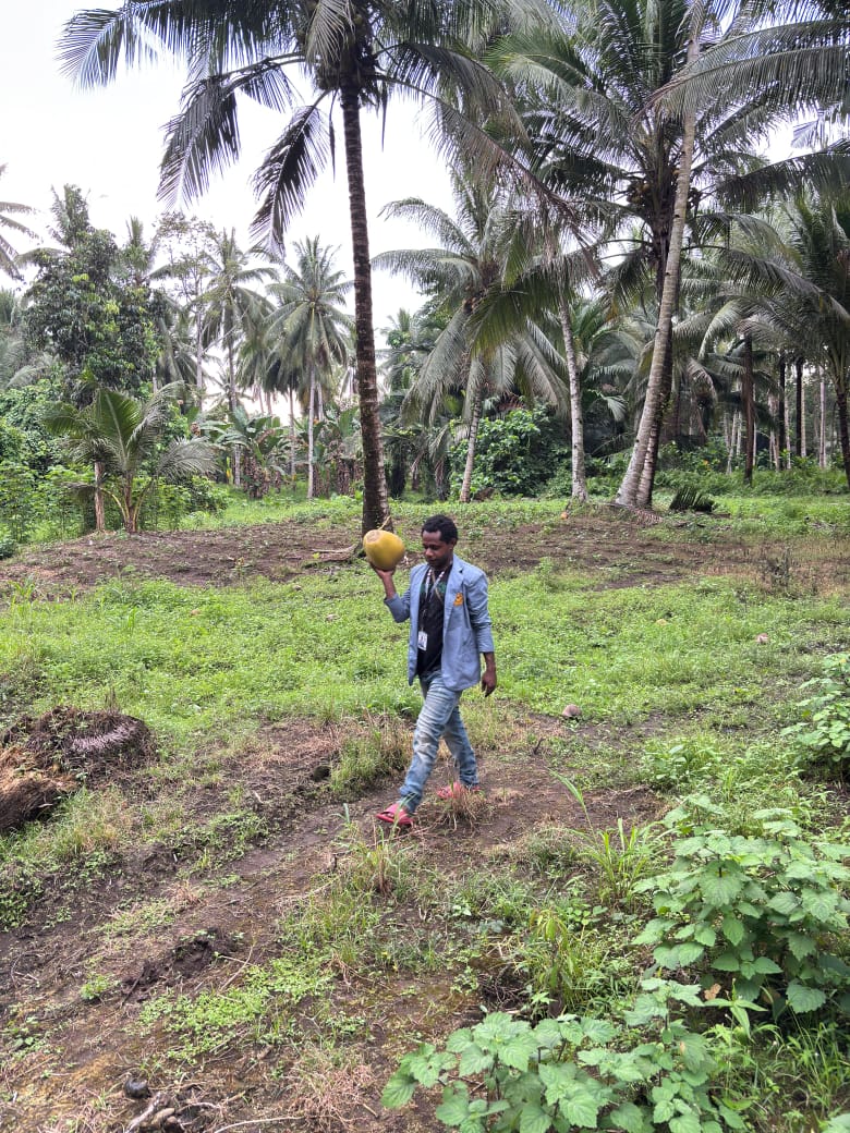 Lahan Pertanian